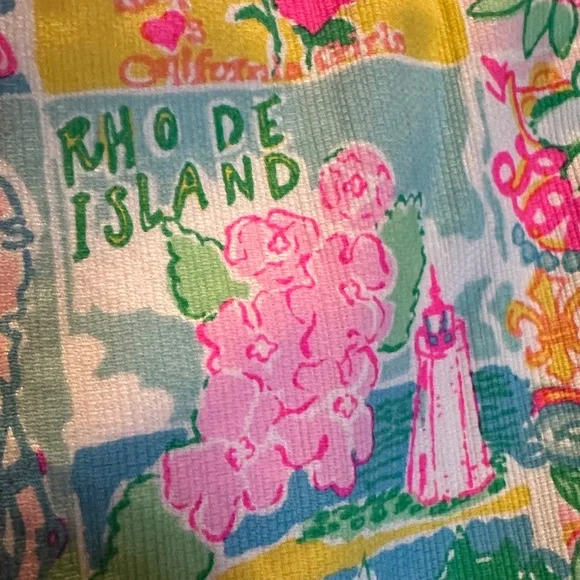 Lilly Pulitzer state of mind Skirt - Picture 6 of 12